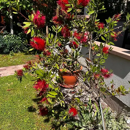 La Bella Appartement Vinež