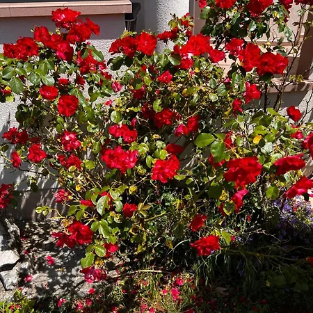 La Bella Appartement