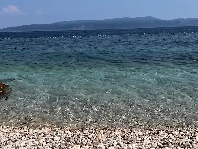La Bella Vinez