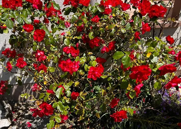 La Bella Appartamento