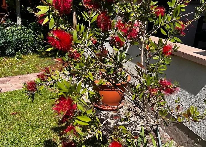 La Bella Apartament Vinež